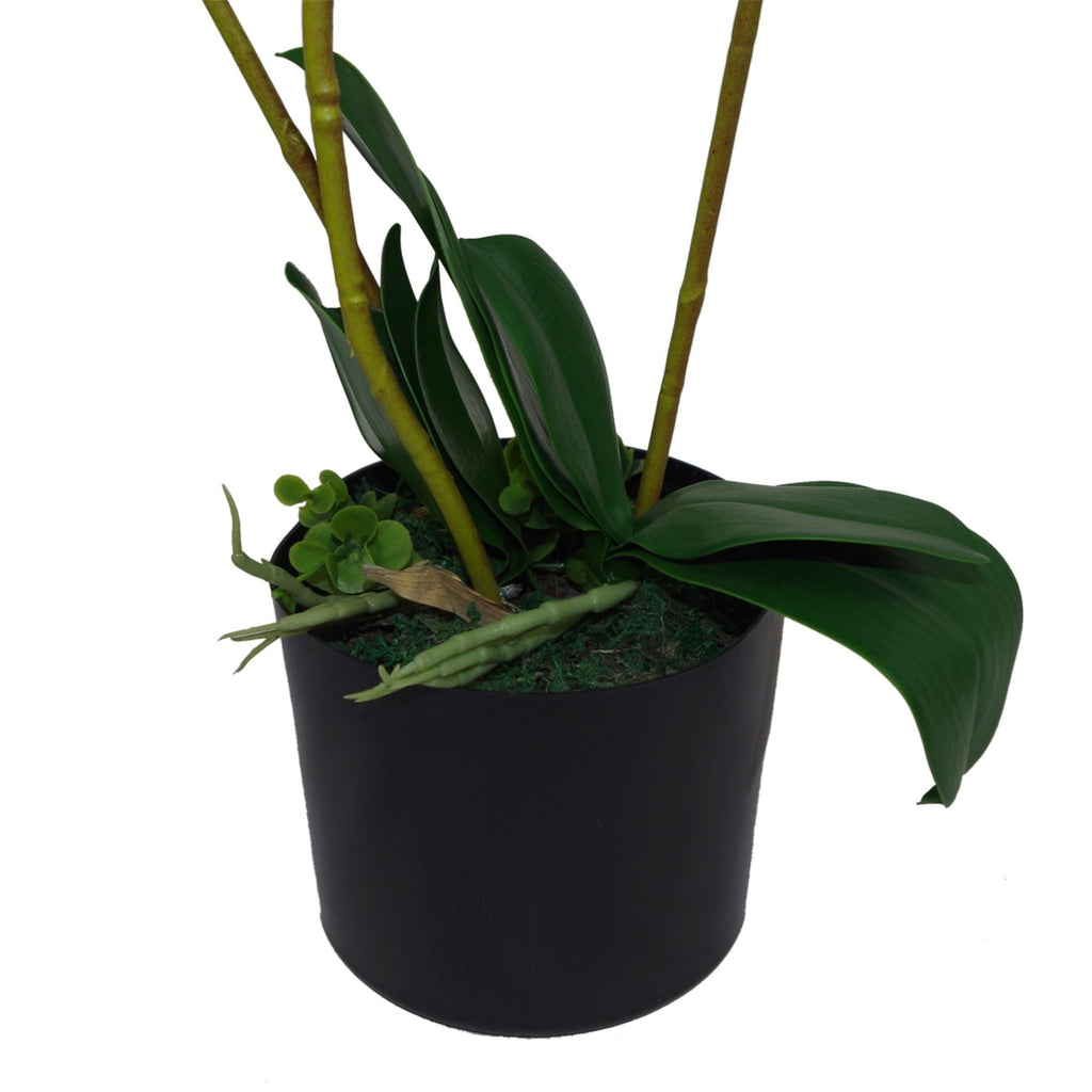 Artificial Orchid Flower 60cm White Orchid Arrangement-1