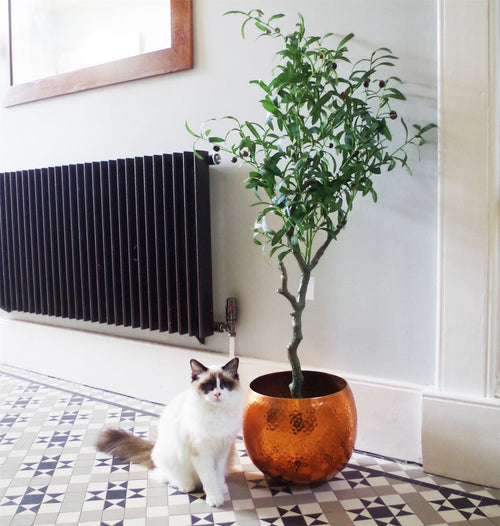 Artificial Olive Tree Bush by Leaf Design UK Artificial Olive Tree Black Pot Botanik-0